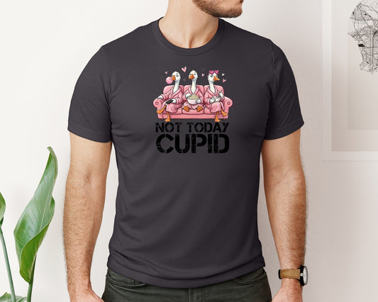 Not Today Cupid Goose Valentine Graphic T-Shirt