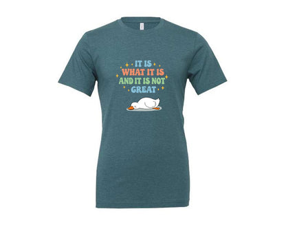 brand:Generic|color:Heather Deep Teal|Funny Duck It Is What It Is Graphic T-Shirt