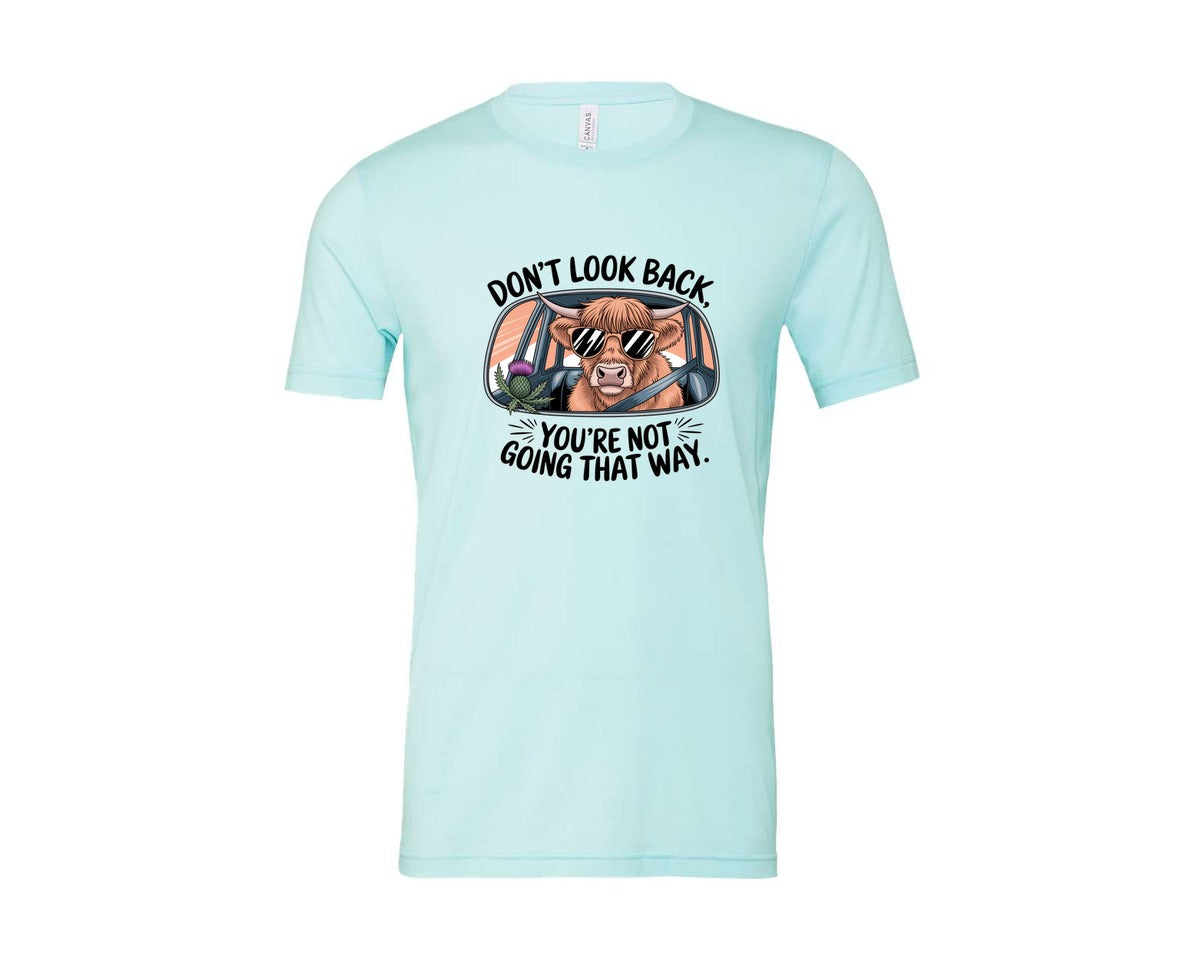brand:Bella Canvas|color:Heather Ice Blue|Dont Look Back Highland Cow Graphic T-Shirt