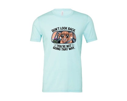 brand:Bella Canvas|color:Heather Ice Blue|Dont Look Back Highland Cow Graphic T-Shirt