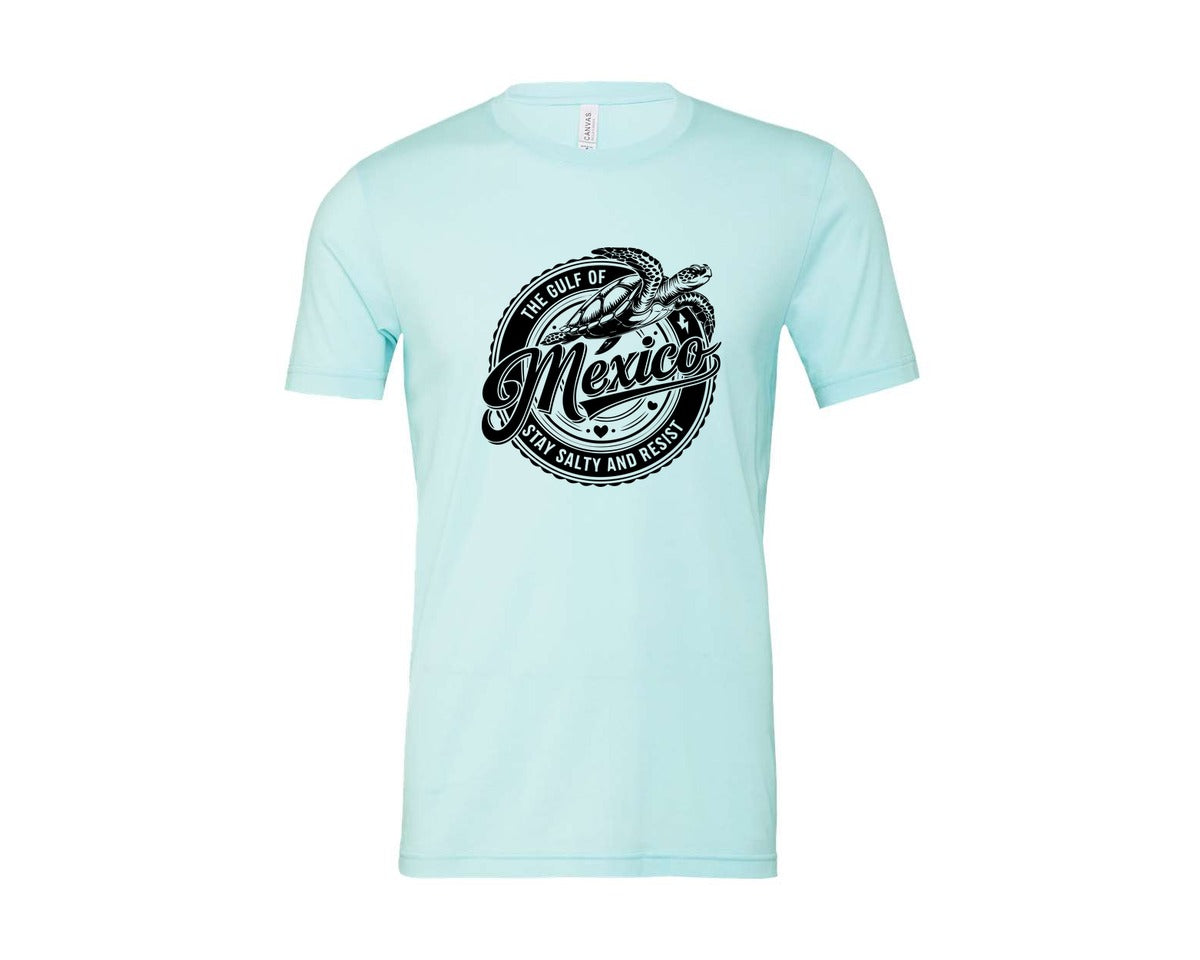 brand:Bella Canvas|color:Heather Ice Blue|Gulf Of Mexico Turtle Beach Graphic T-Shirt