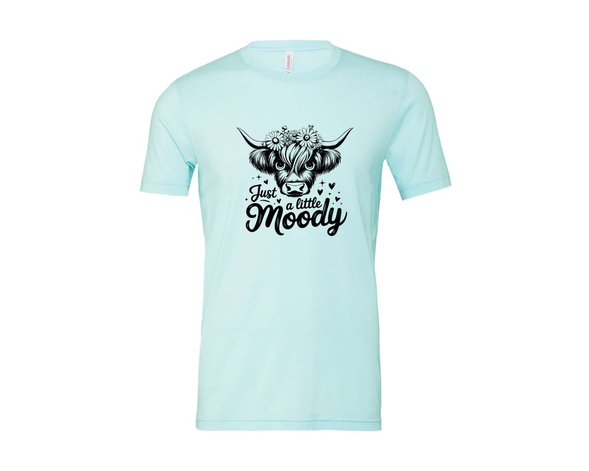 brand:Bella Canvas|color:Heather Ice Blue|Just A Little Moody T Shirt Design Graphic T-Shirt