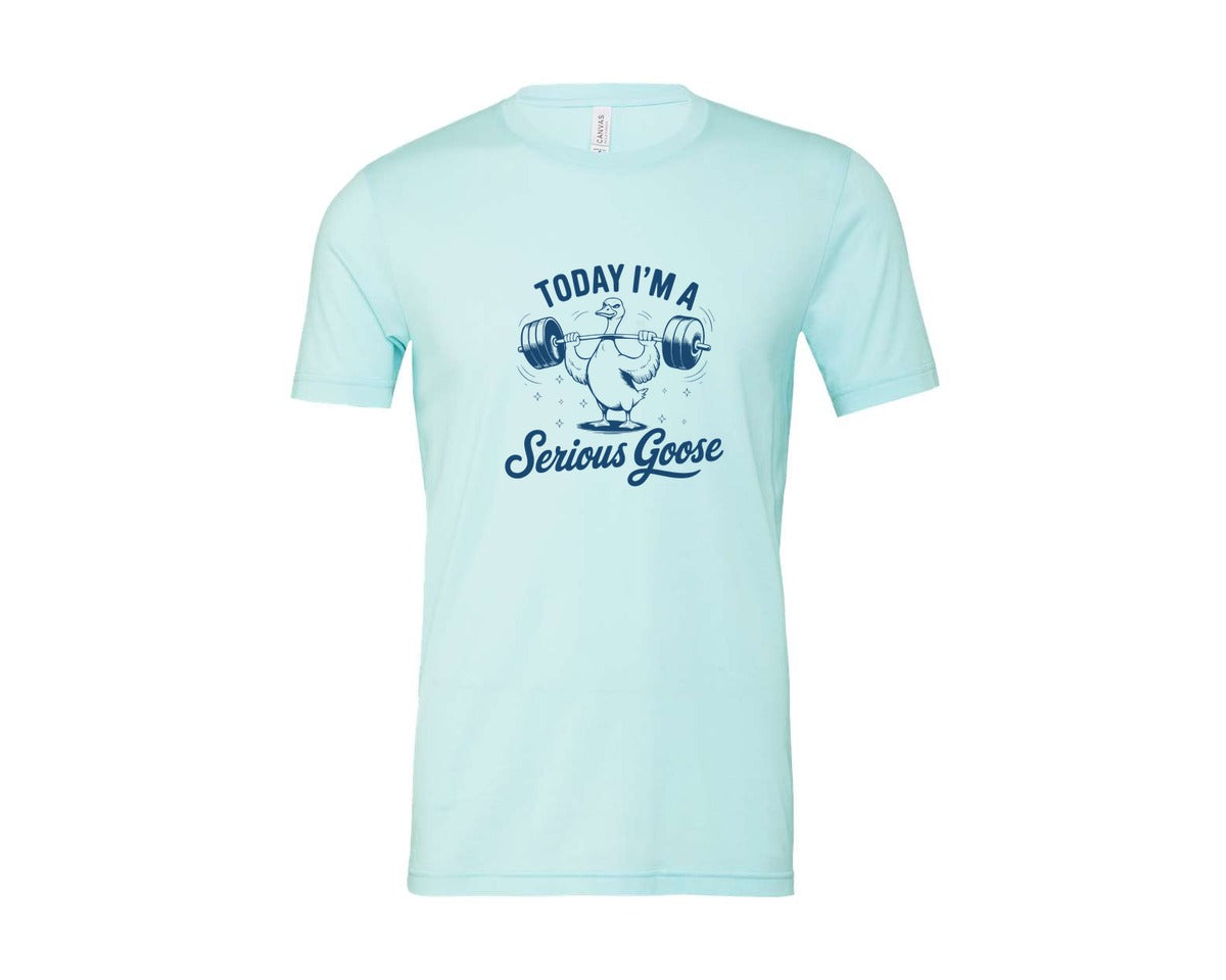 brand:Bella Canvas|color:Heather Ice Blue|Today Im A Serious Goose Bird T Shirt S Graphic T-Shirt