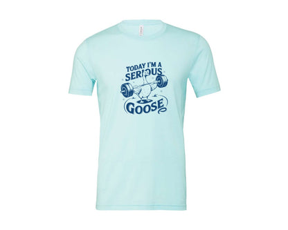 brand:Bella Canvas|color:Heather Ice Blue|Today Im A Serious Goose Bird T Shirt 2 Graphic T-Shirt