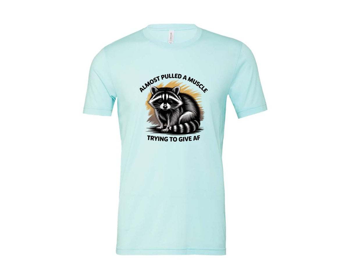 brand:Bella Canvas|color:Heather Ice Blue|Funny Raccoon Sarcastic Quote Graphic T-Shirt