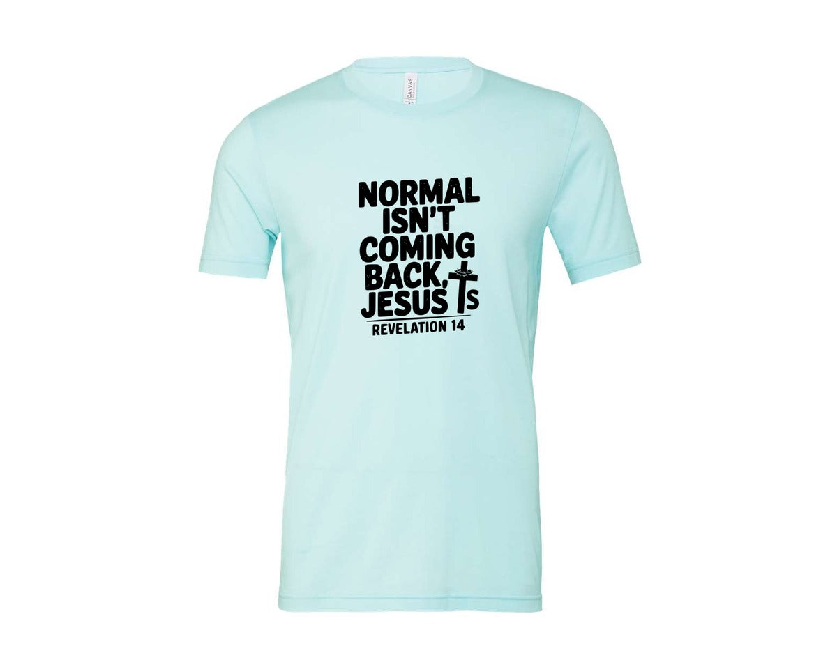 brand:Bella Canvas|color:Heather Ice Blue|Normal Isnt Coming Back But Jesus Is Sv Graphic T-Shirt