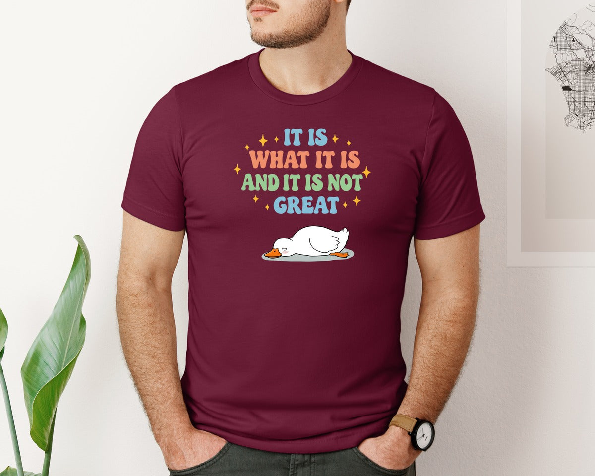 brand:Bella Canvas|color:Heather Maroon|Funny Duck It Is What It Is Graphic T-Shirt
