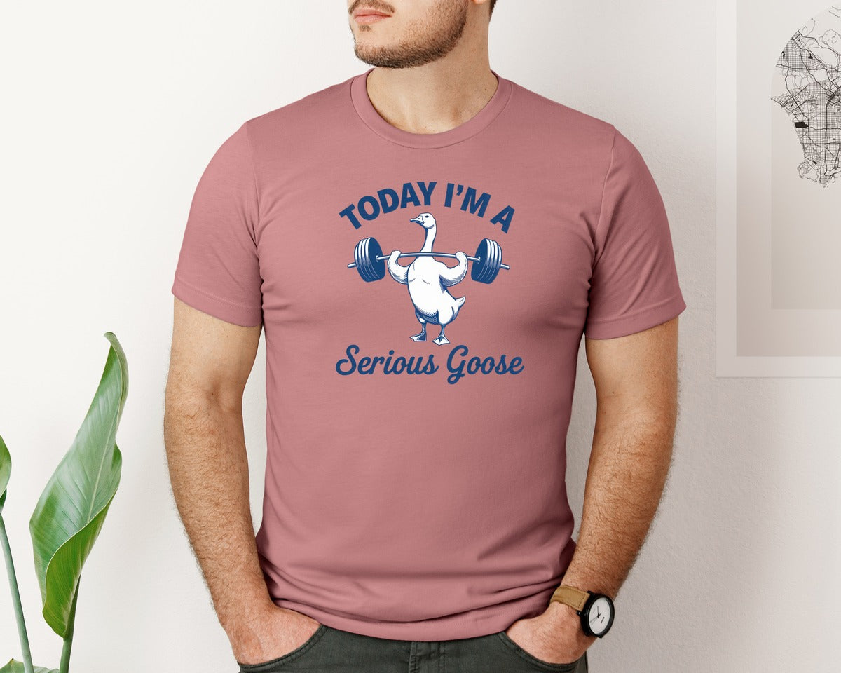 brand:Bella Canvas|color:Heather Mauve|Funny Today Im A Serious Goose 2 Graphic T-Shirt