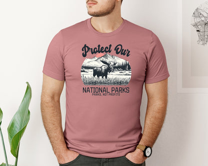 brand:Bella Canvas|color:Heather Mauve|Protect Our National Parks Shirt Graphic T-Shirt