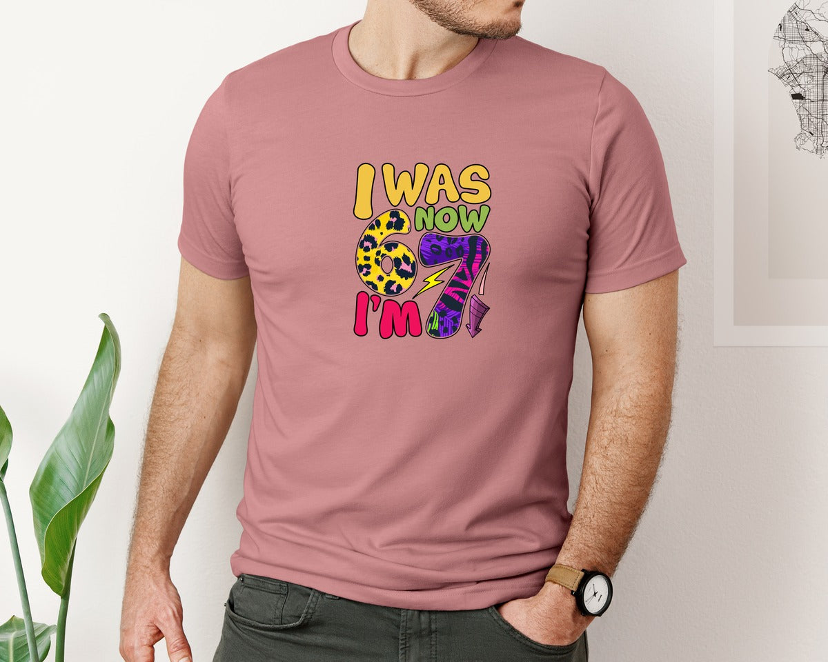 brand:Bella Canvas|color:Heather Mauve|Funny 67 T Shirt Design 3 Graphic T-Shirt