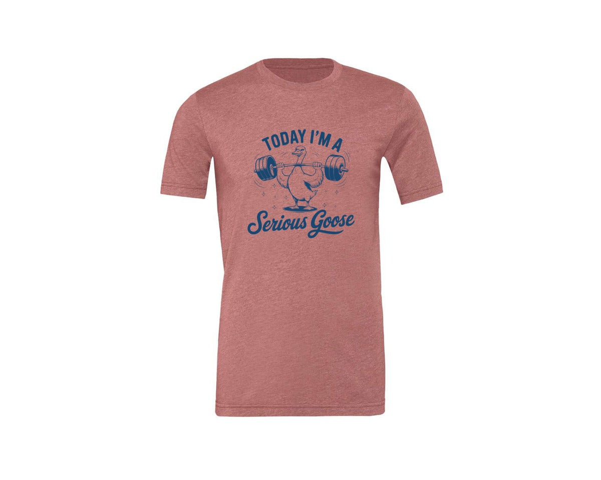 brand:Generic|color:Heather Mauve|Today Im A Serious Goose Bird T Shirt S Graphic T-Shirt