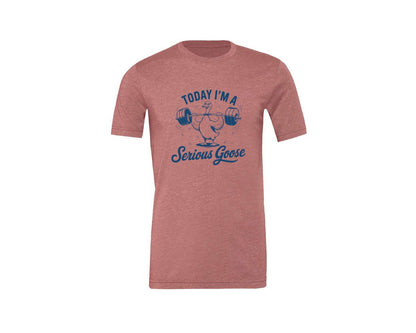 brand:Generic|color:Heather Mauve|Today Im A Serious Goose Bird T Shirt S Graphic T-Shirt