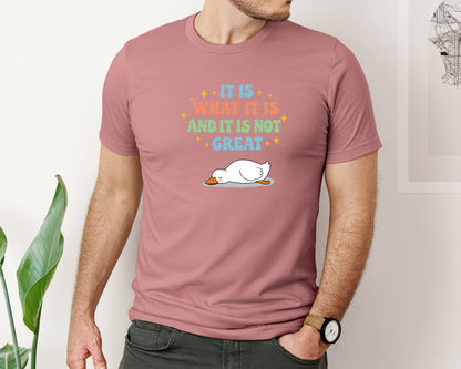 brand:Bella Canvas|color:Heather Mauve|Funny Duck It Is What It Is Graphic T-Shirt