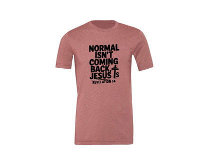 brand:Generic|color:Heather Mauve|Normal Isnt Coming Back But Jesus Is Sv Graphic T-Shirt