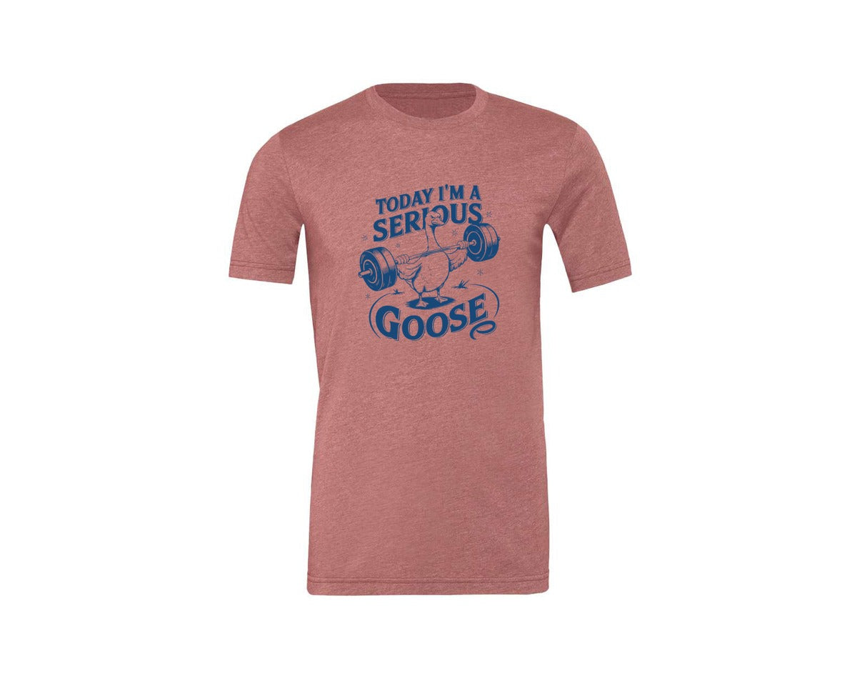 brand:Generic|color:Heather Mauve|Today Im A Serious Goose Bird T Shirt 2 Graphic T-Shirt