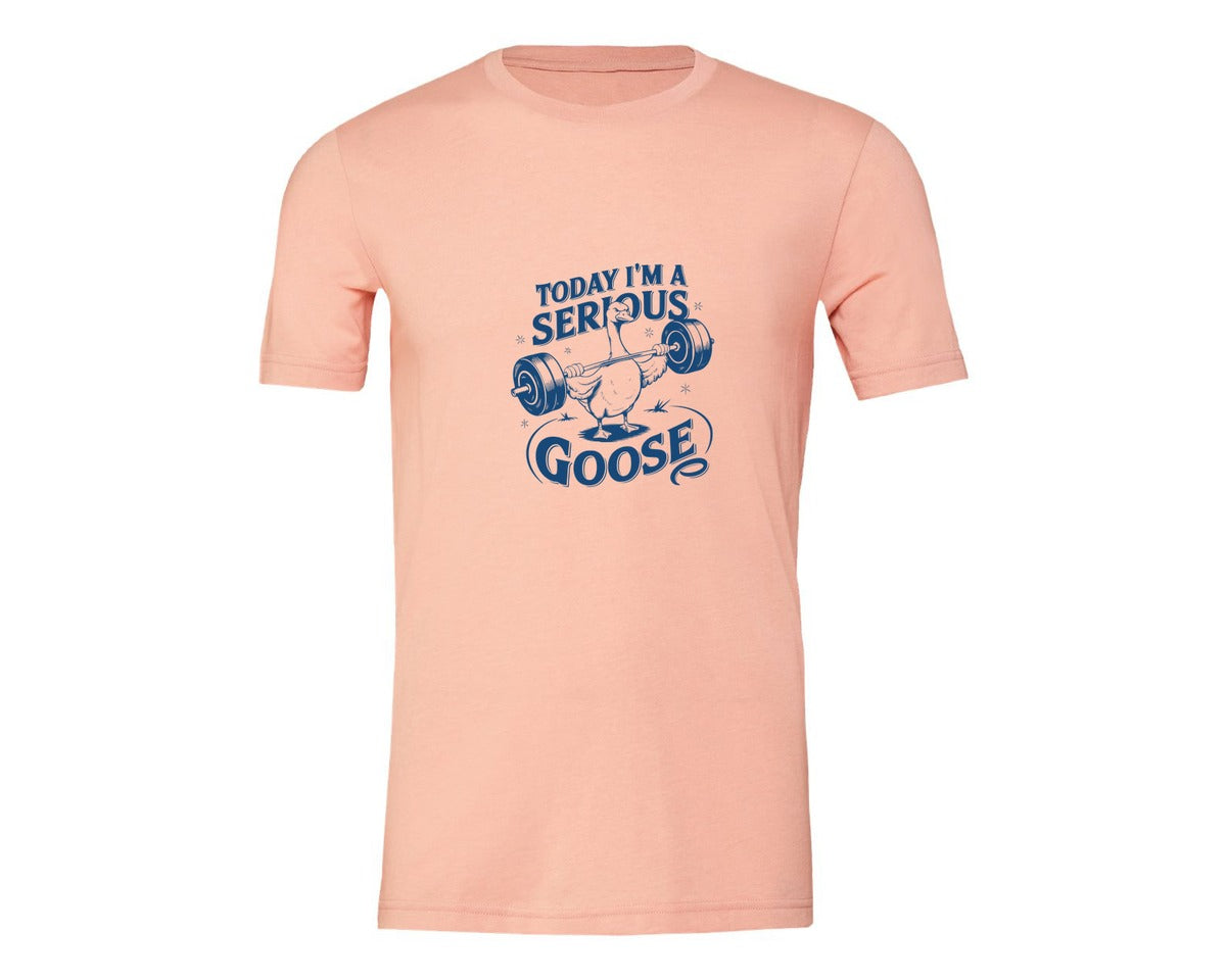 brand:Generic|color:Heather Peach|Today Im A Serious Goose Bird T Shirt 2 Graphic T-Shirt