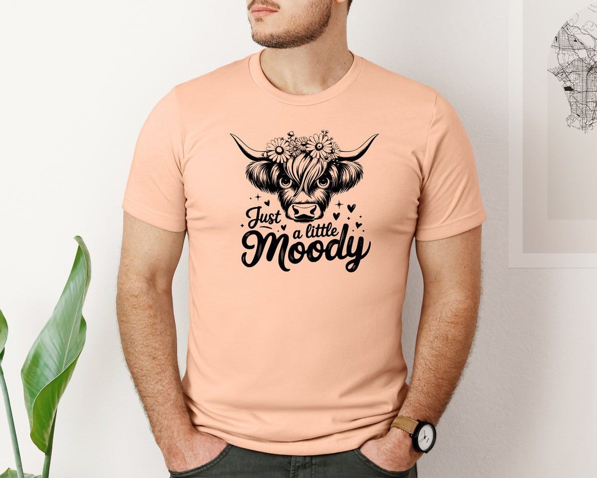 brand:Bella Canvas|color:Heather Peach|Just A Little Moody T Shirt Design Graphic T-Shirt