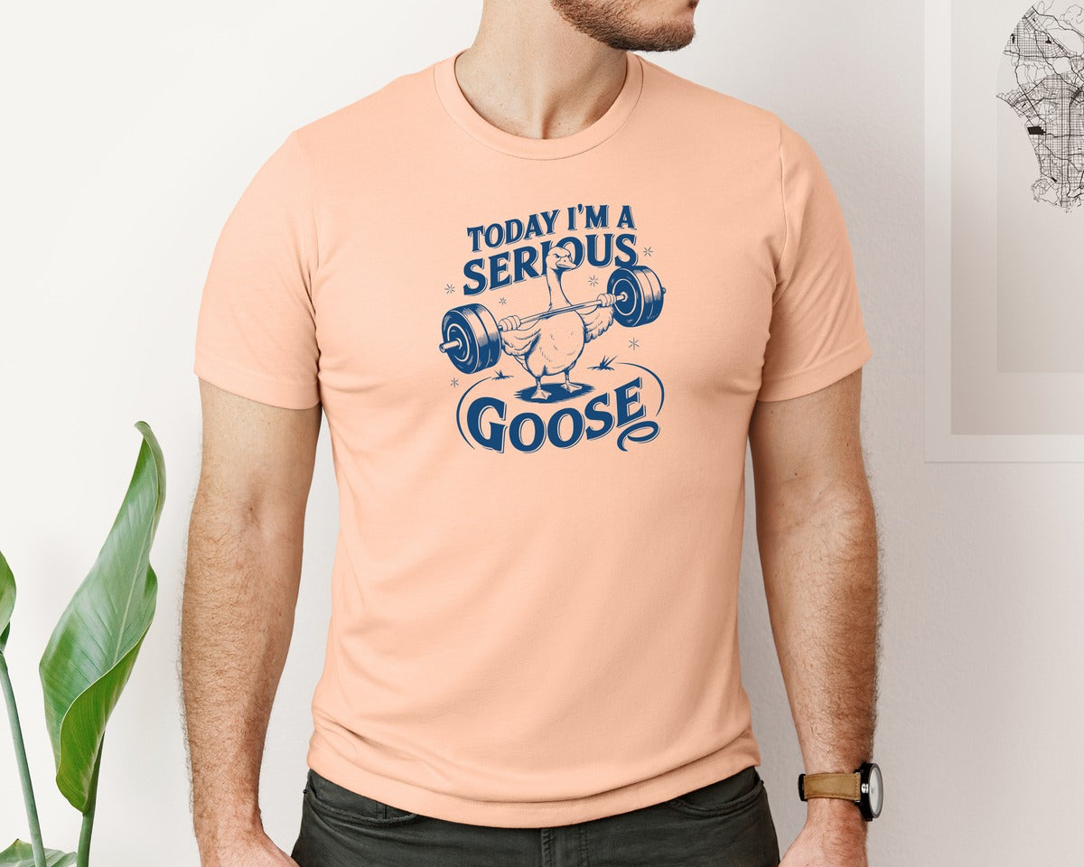 brand:Bella Canvas|color:Heather Peach|Today Im A Serious Goose Bird T Shirt 2 Graphic T-Shirt