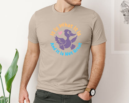 brand:Bella Canvas|color:Heather Tan|It Is What It Is And It Is Not Great 12 Graphic T-Shirt