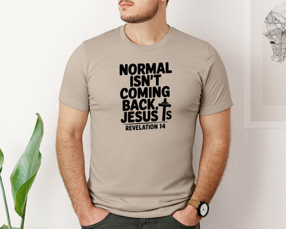 brand:Bella Canvas|color:Heather Tan|Normal Isnt Coming Back But Jesus Is Sv Graphic T-Shirt