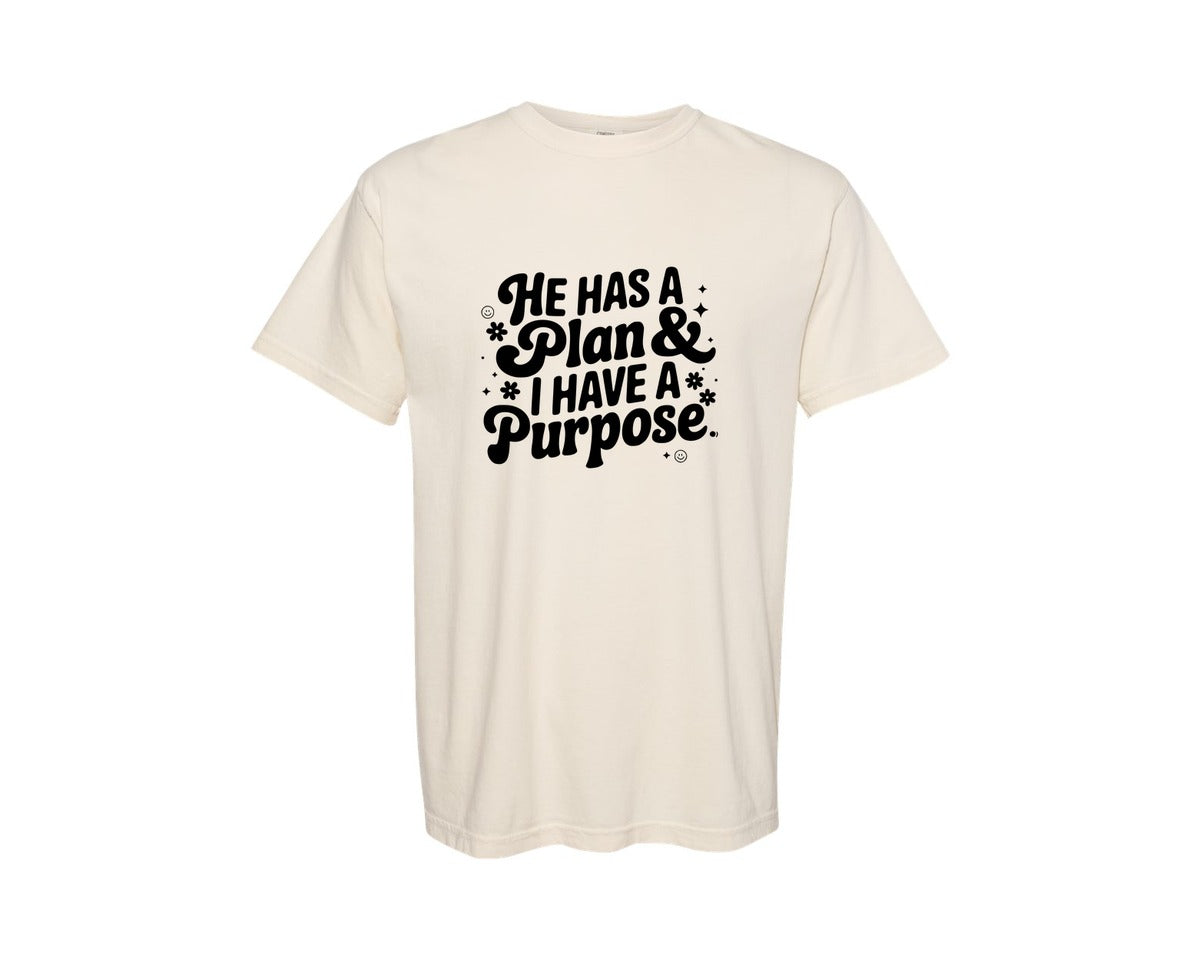 brand:Comfort Colors|color:Ivory|He Has A Plan And I Have A Purpose D Graphic T-Shirt