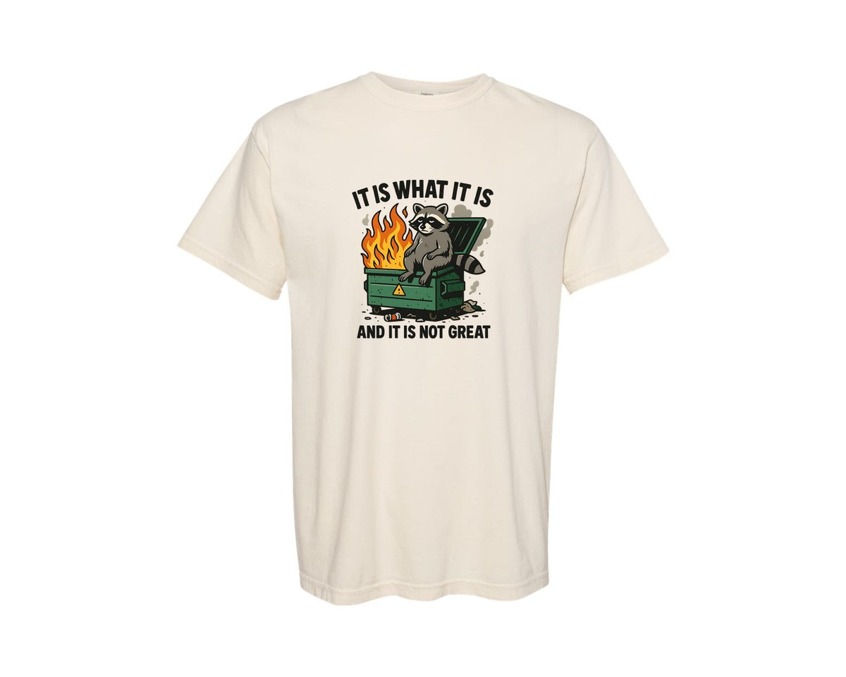 brand:Comfort Colors|color:Ivory|Funny Dumpster Racoon Graphic T-Shirt