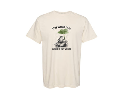 brand:Comfort Colors|color:Ivory|It Is What It Is Not Great Vintage Frog Graphic T-Shirt