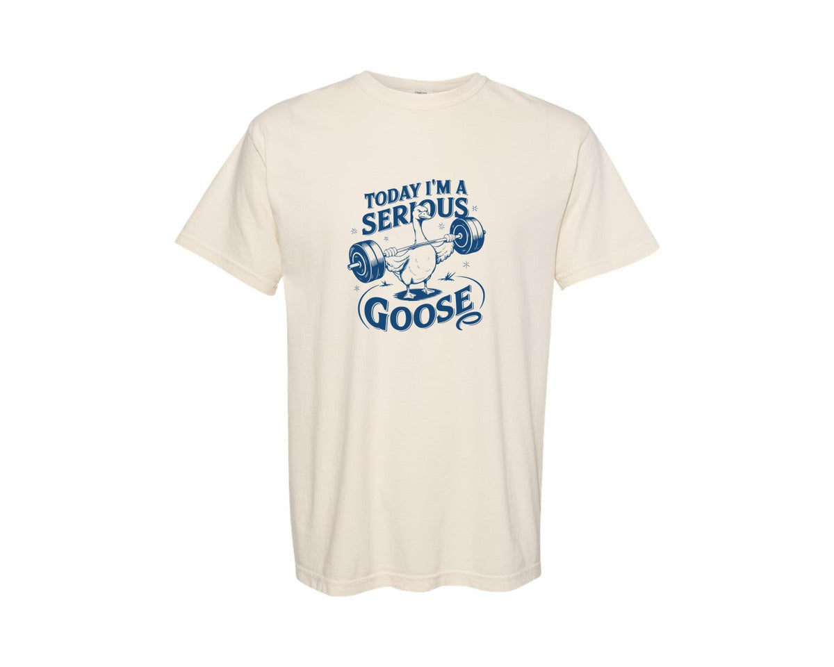 brand:Comfort Colors|color:Ivory|Today Im A Serious Goose Bird T Shirt 2 Graphic T-Shirt