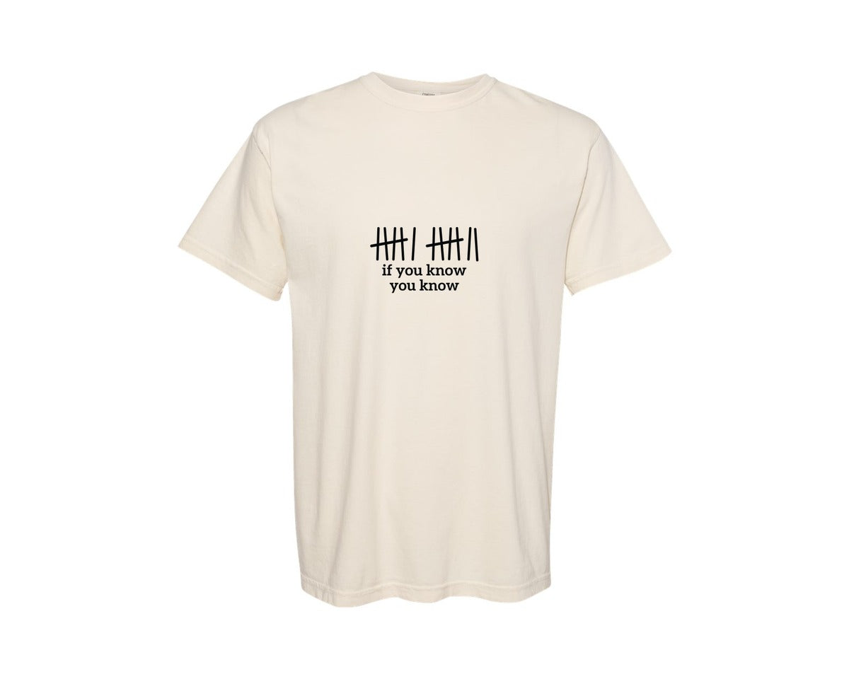 brand:Comfort Colors|color:Ivory|Funny Meme 67 If You Know You Know 2 Graphic T-Shirt