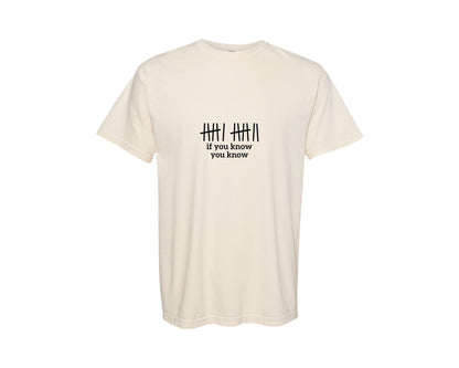 brand:Comfort Colors|color:Ivory|Funny Meme 67 If You Know You Know 2 Graphic T-Shirt