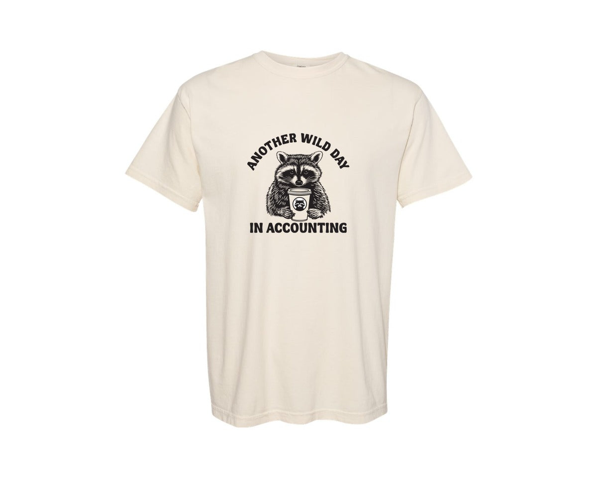 brand:Comfort Colors|color:Ivory|Funny Accountant Humor Graphic T-Shirt