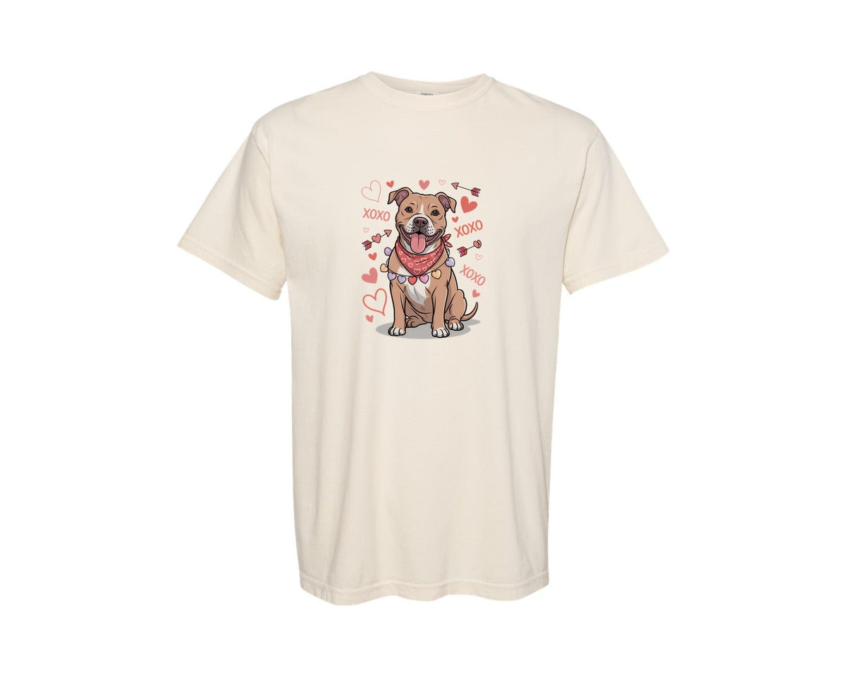 brand:Comfort Colors|color:Ivory|Valentine Pitbull Dog T Shirt Design Graphic T-Shirt