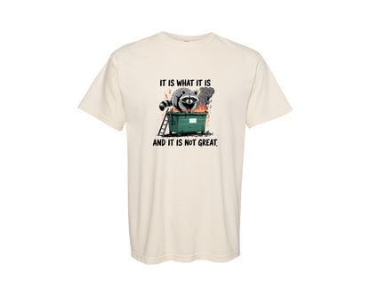 brand:Comfort Colors|color:Ivory|Dumpster Fire Raccoon Meme Graphic T-Shirt
