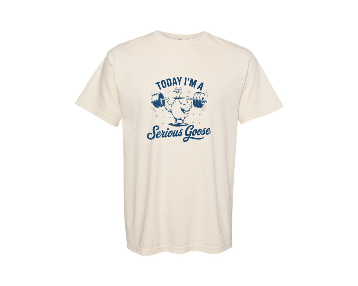 brand:Comfort Colors|color:Ivory|Today Im A Serious Goose Bird T Shirt S Graphic T-Shirt