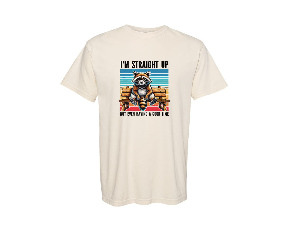 brand:Comfort Colors|color:Ivory|Raccoon Raccoon Shirt Design Graphic T-Shirt