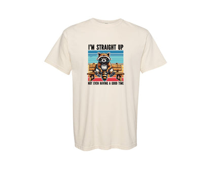 brand:Comfort Colors|color:Ivory|Raccoon Raccoon Shirt Design Graphic T-Shirt