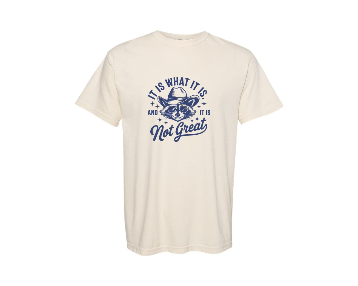 brand:Comfort Colors|color:Ivory|It Is What It Is And It Is Not Great 10 Graphic T-Shirt