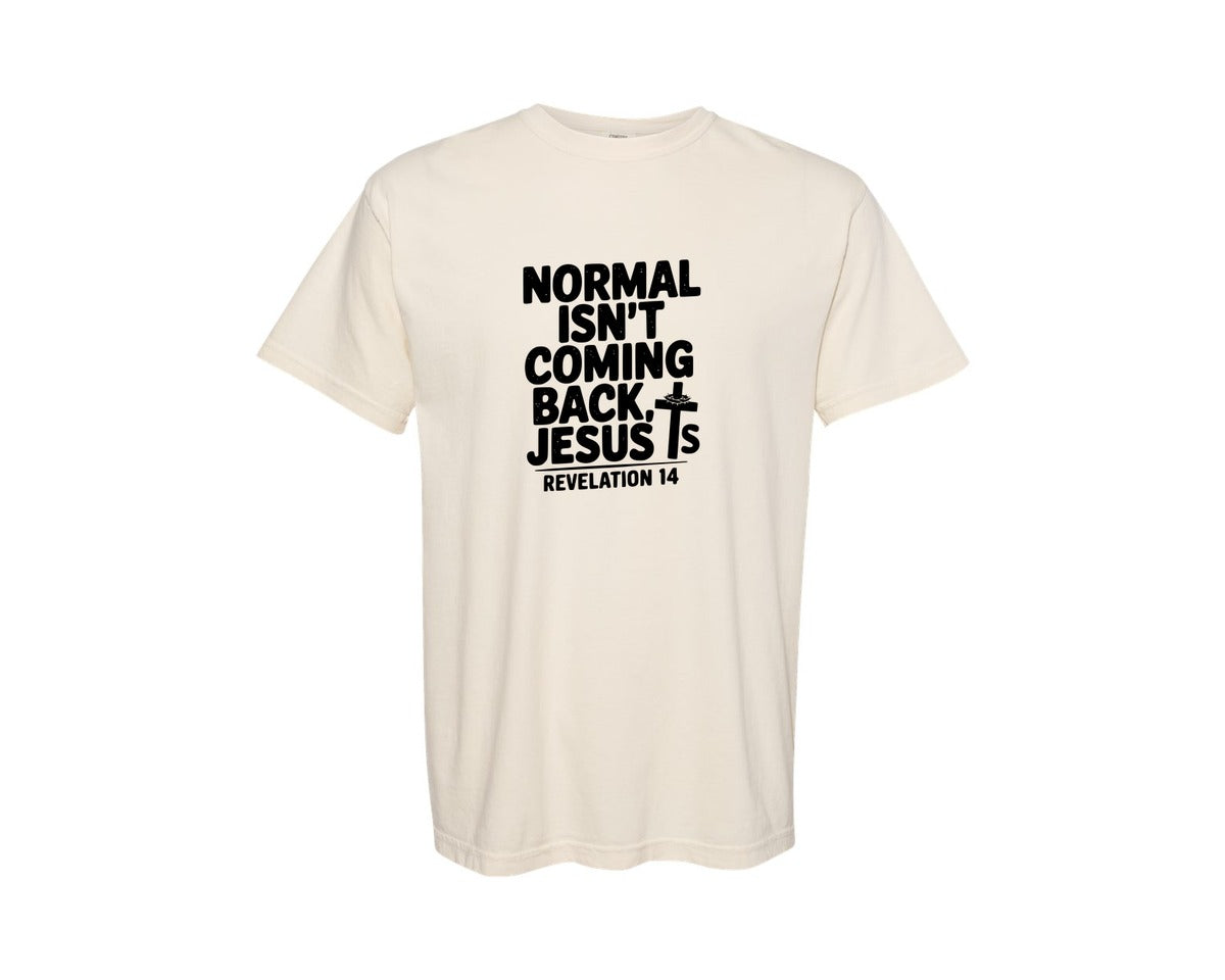 brand:Comfort Colors|color:Ivory|Normal Isnt Coming Back But Jesus Is Sv Graphic T-Shirt