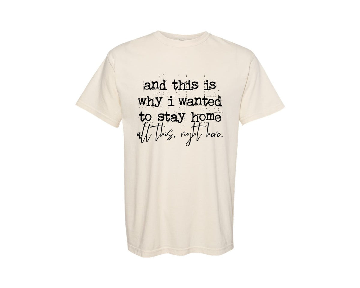 brand:Comfort Colors|color:Ivory|Introvert Why I Wanted To Stay Home Graphic T-Shirt