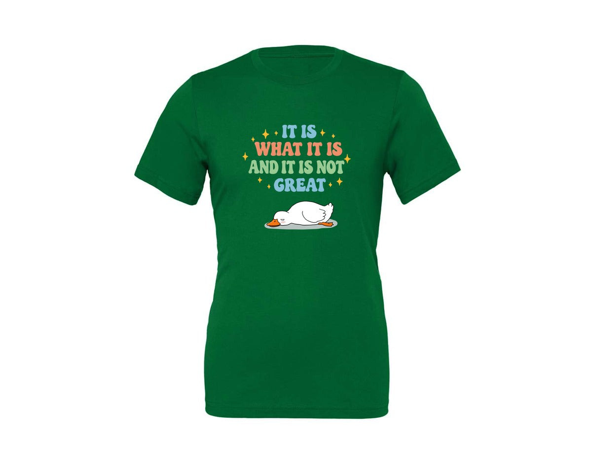 brand:Generic|color:Kelly|Funny Duck It Is What It Is Graphic T-Shirt