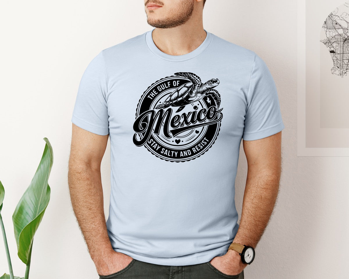 brand:Bella Canvas|color:Light Blue|Gulf Of Mexico Turtle Beach Graphic T-Shirt