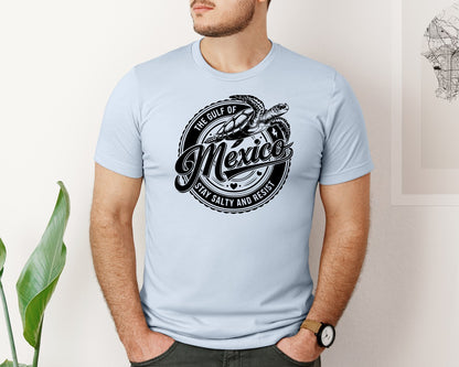 brand:Bella Canvas|color:Light Blue|Gulf Of Mexico Turtle Beach Graphic T-Shirt