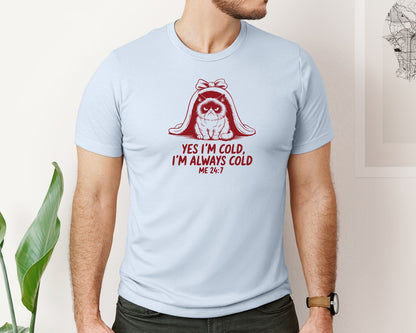 brand:Bella Canvas|color:Light Blue|Yes Im Cold Always Cold Me 247 Des Graphic T-Shirt