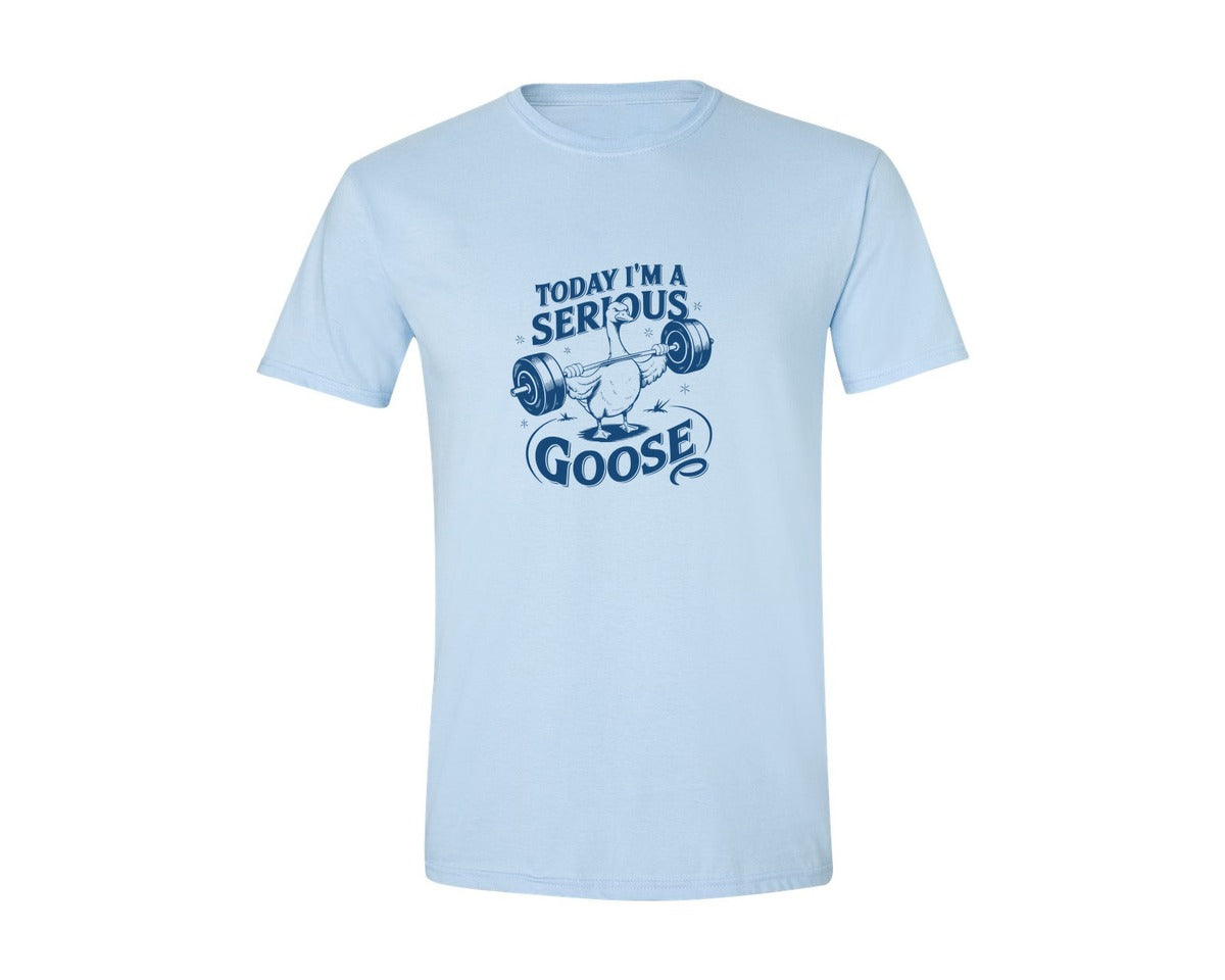 brand:Generic|color:Light Blue|Today Im A Serious Goose Bird T Shirt 2 Graphic T-Shirt
