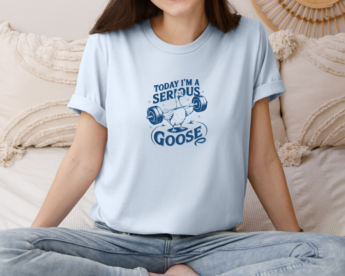 brand:Bella Canvas|color:Light Blue|Today Im A Serious Goose Bird T Shirt 2 Graphic T-Shirt