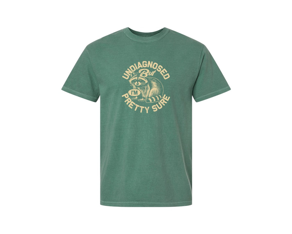 brand:Comfort Colors|color:Light Green|Funny Raccoon Meme T Shirt 2 Graphic T-Shirt