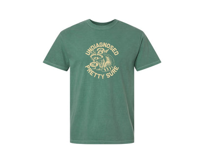 brand:Comfort Colors|color:Light Green|Funny Raccoon Meme T Shirt 2 Graphic T-Shirt