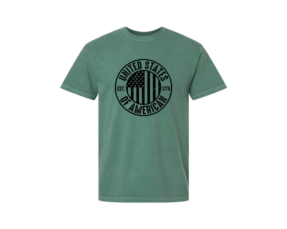 brand:Comfort Colors|color:Light Green|United States Of America Patriotic Graphic T-Shirt