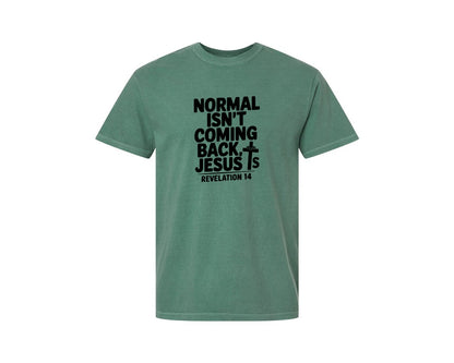 brand:Comfort Colors|color:Light Green|Normal Isnt Coming Back But Jesus Is Sv Graphic T-Shirt