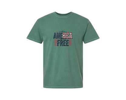 brand:Comfort Colors|color:Light Green|America Land Of The Free 6 Graphic T-Shirt